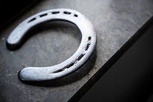 farriery services