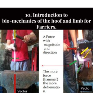 10. Introduction to bio-mechanics of the hoof and limb for Farriers