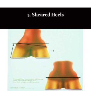 5. Sheared Heels