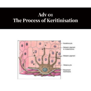 Adv 01 The Process of Keritinisation