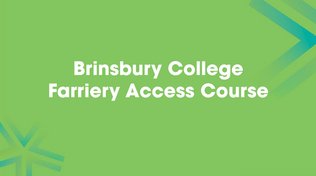 Cours d'accès à la maréchalerie du Brinsbury College