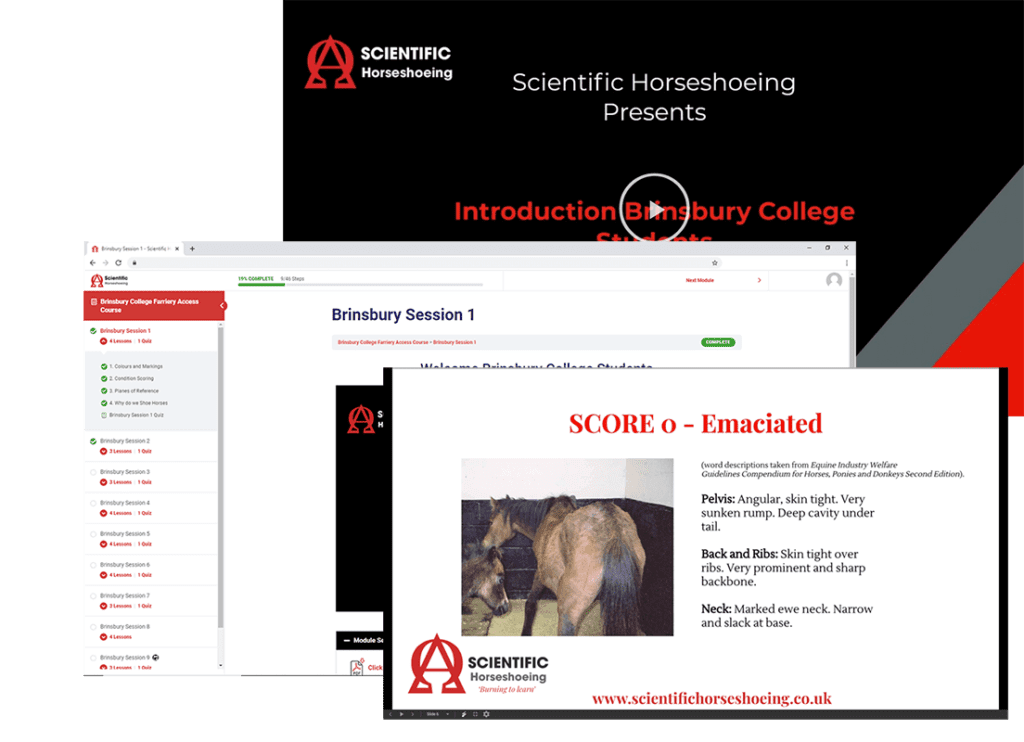 Scientific Horseshoeing Courses