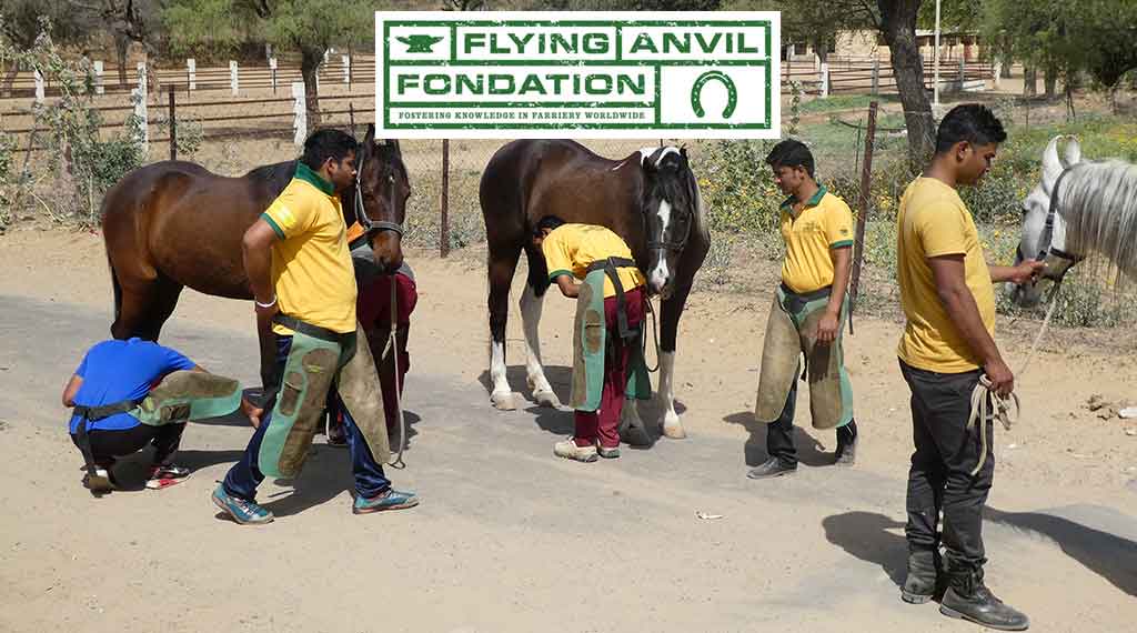 Flying Anvil Foundation