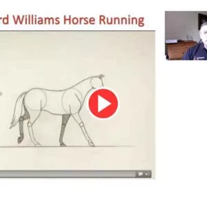 Animiertes Video zur Bewegung von Pferden