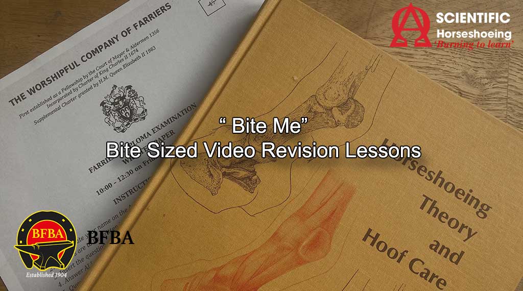 Bite Sized Revision Course