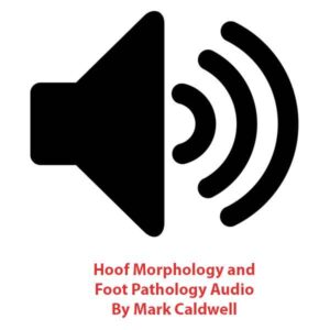 Аудио-файл с морфологией копыт и патологией стопы