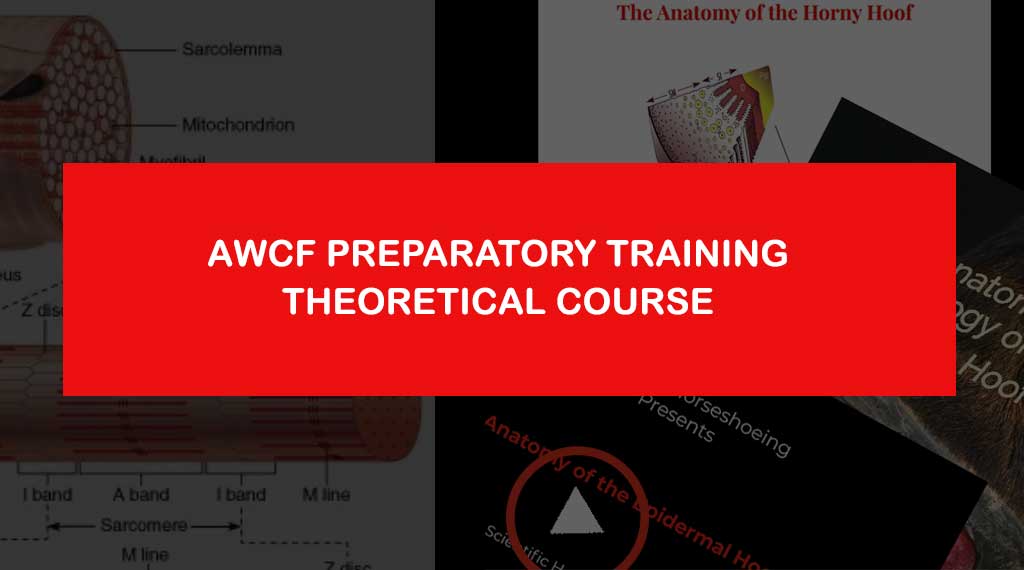 AWCF Theoretical Exam Preparatory Course