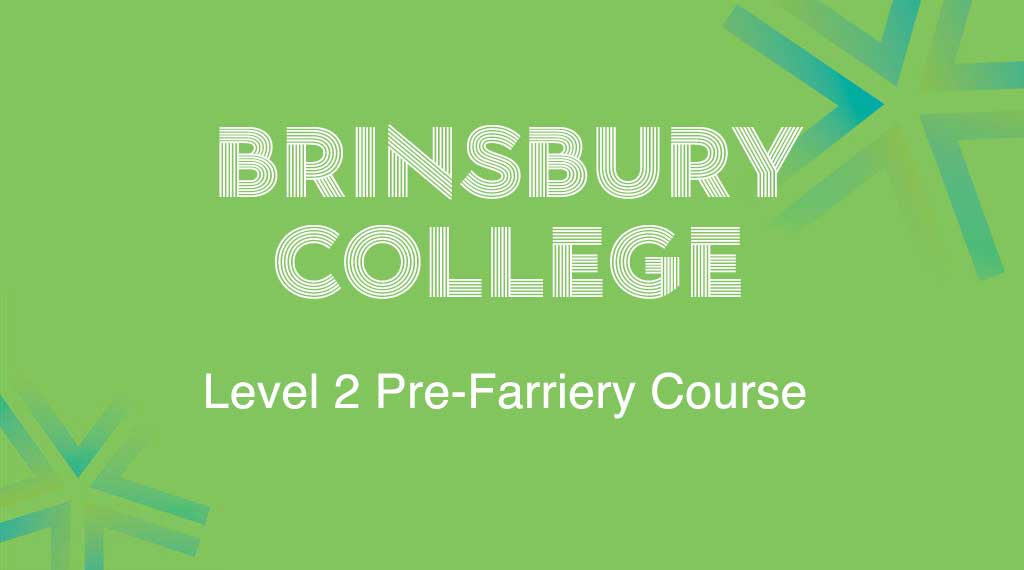 Brinsbury College Level 2 Pre Farriery Course