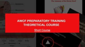 AWCF PREPARATORY TRAINING THEORETICAL COURSE