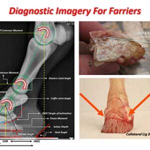 Diagnostic Imagary for Farriers