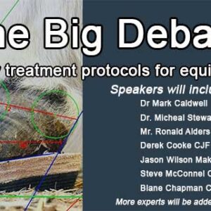 The Big Debate- the farriery treatment protocols for equine laminitis