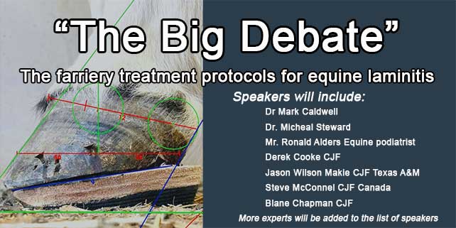 The Big Debate- the farriery treatment protocols for equine laminitis