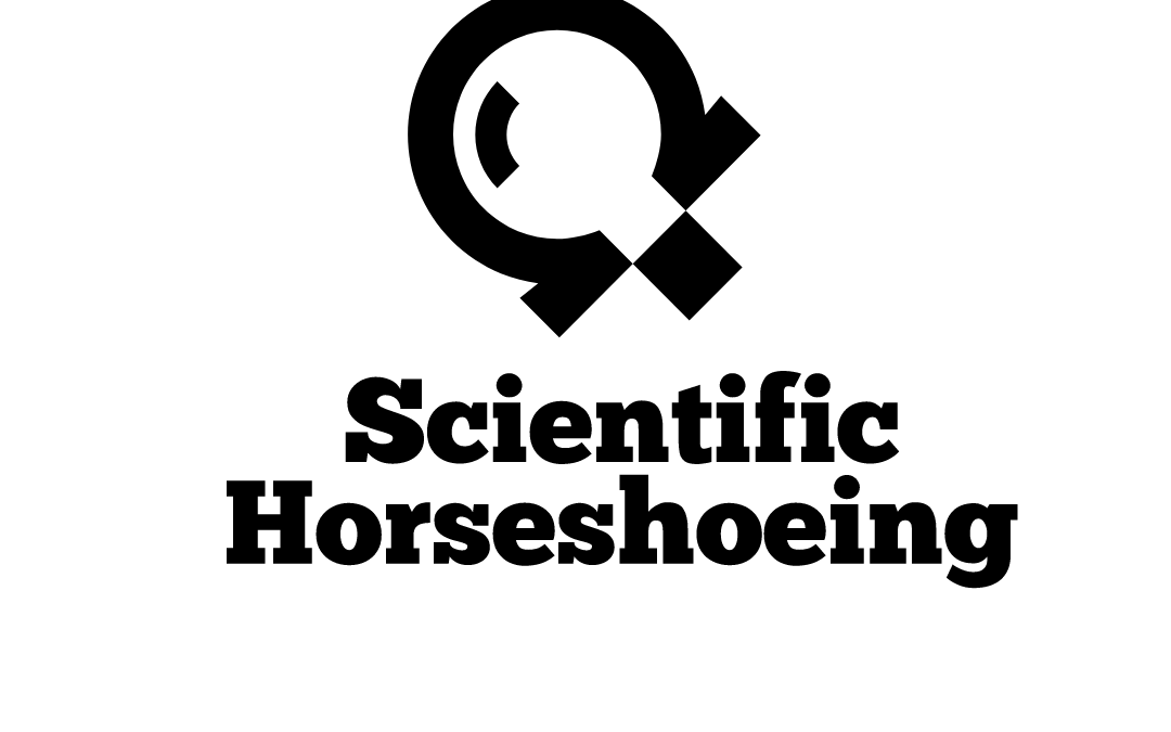HOW TO UNDERSTAND THE USE OF BIOMECHANICS IN INFLUENCING THE HEMODYNAMICS OF THE EQUINE HOOF