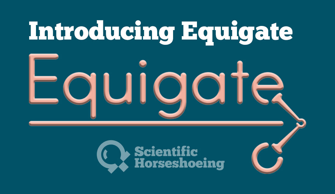 Introducing Equigate