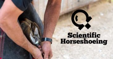 Foot Trimming Protocol for Farriers & Hoof Care Professionals