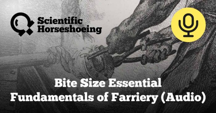 Bite Size Essential Fundamentals of Farriery (Audio)