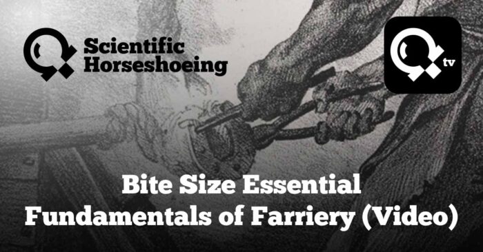 Bite Size Essential Fundamentals of Farriery (Video)