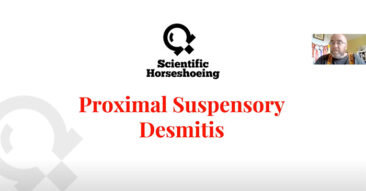 PSD (Proximal Suspensory Desmitis) Farriery Aspects