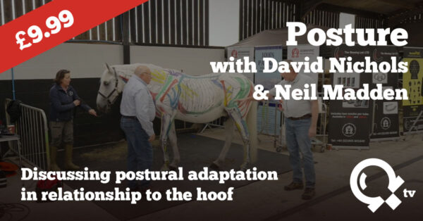 Posture with David Nichols & Neil Madden