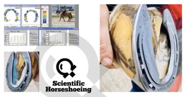 The use of 'Inshoe Prosthetic Inserts' in Farriery Treatment Plans