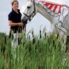 Horse Anatomy For Performance: A Practical Guide to Training, Riding and Horse Care  by Gillian Higgins (Author), Stephanie Martin (Author) - Image 2