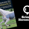 Horse Anatomy For Performance