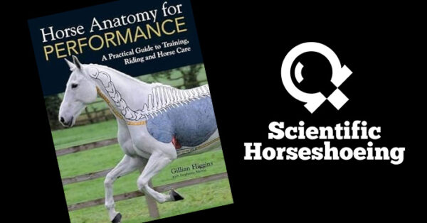 Horse Anatomy For Performance