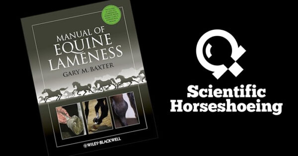 Manual of Equine Lameness Paperback