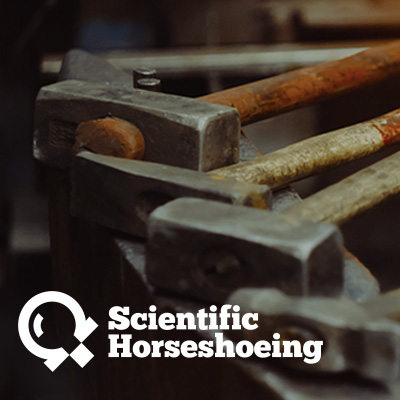 Horseshoeing Courses Horseshoeing Courses