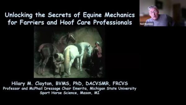 Webinar Secrets of Equine Mechanics with Dr. Hillary Clayton