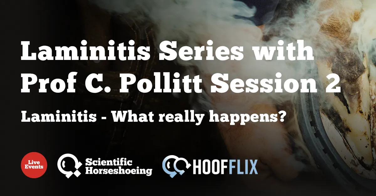 Laminitis series 2