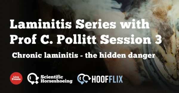 Laminitis series 3