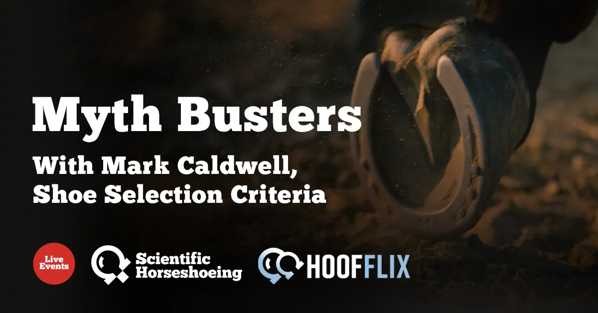 Myth Busters with Mark Caldwell