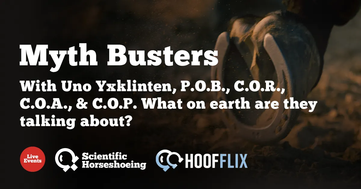 Myth Busters with Uno Yxklinten